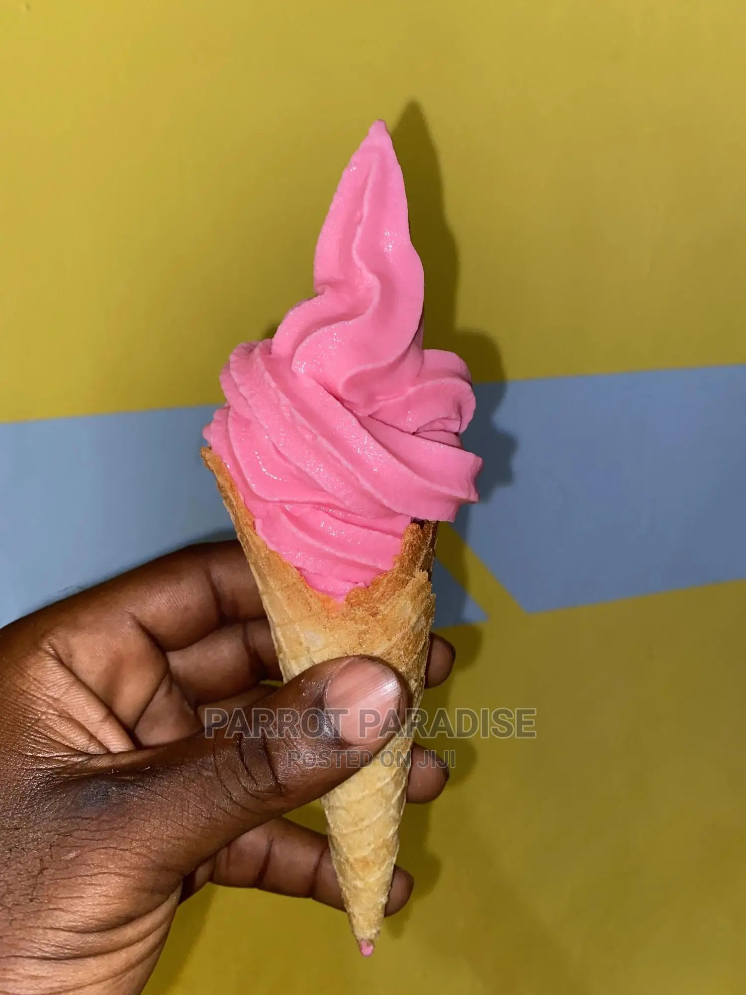 Ice Cream Machine for Rent