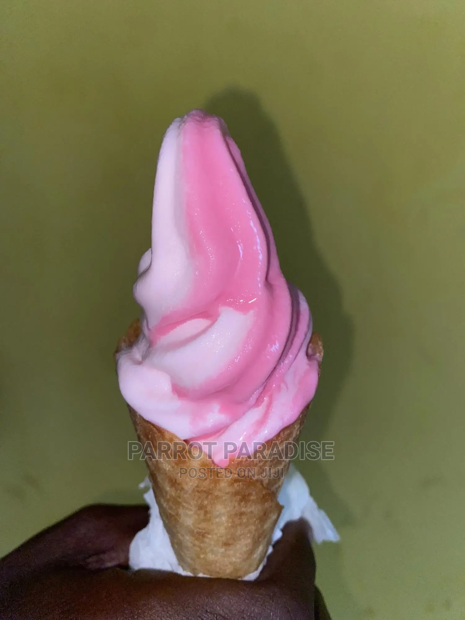 Ice Cream Machine for Rent