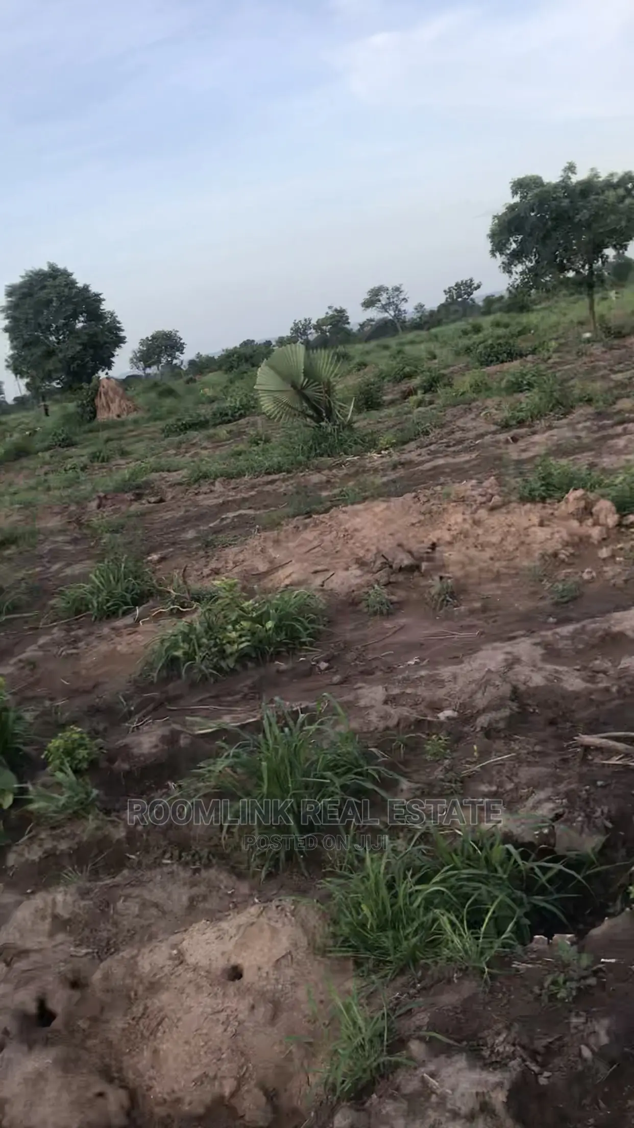 Negotiable Affordable Farmland at Kintampo 5000+ Acres