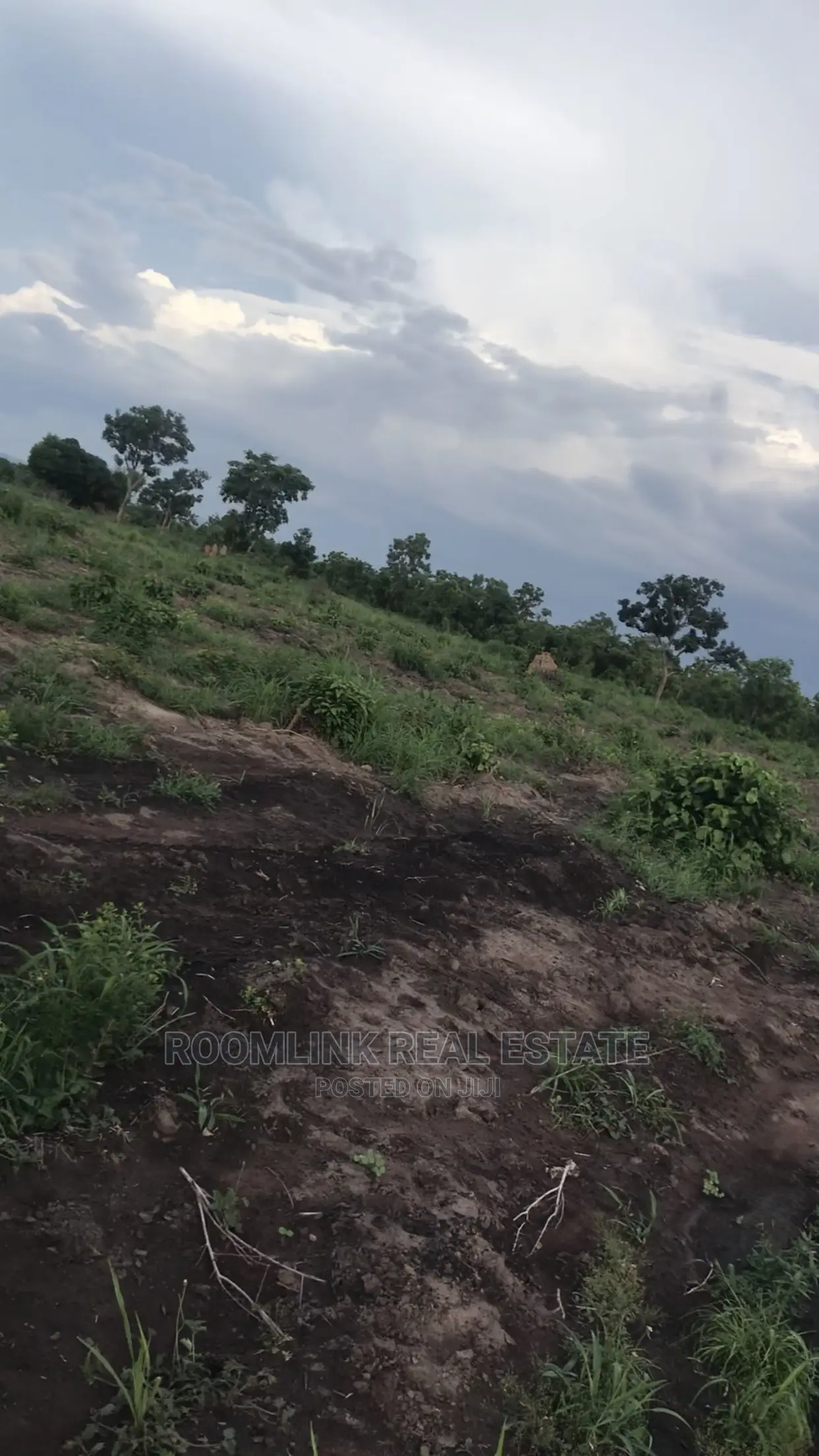 Negotiable Affordable Farmland at Kintampo 5000+ Acres