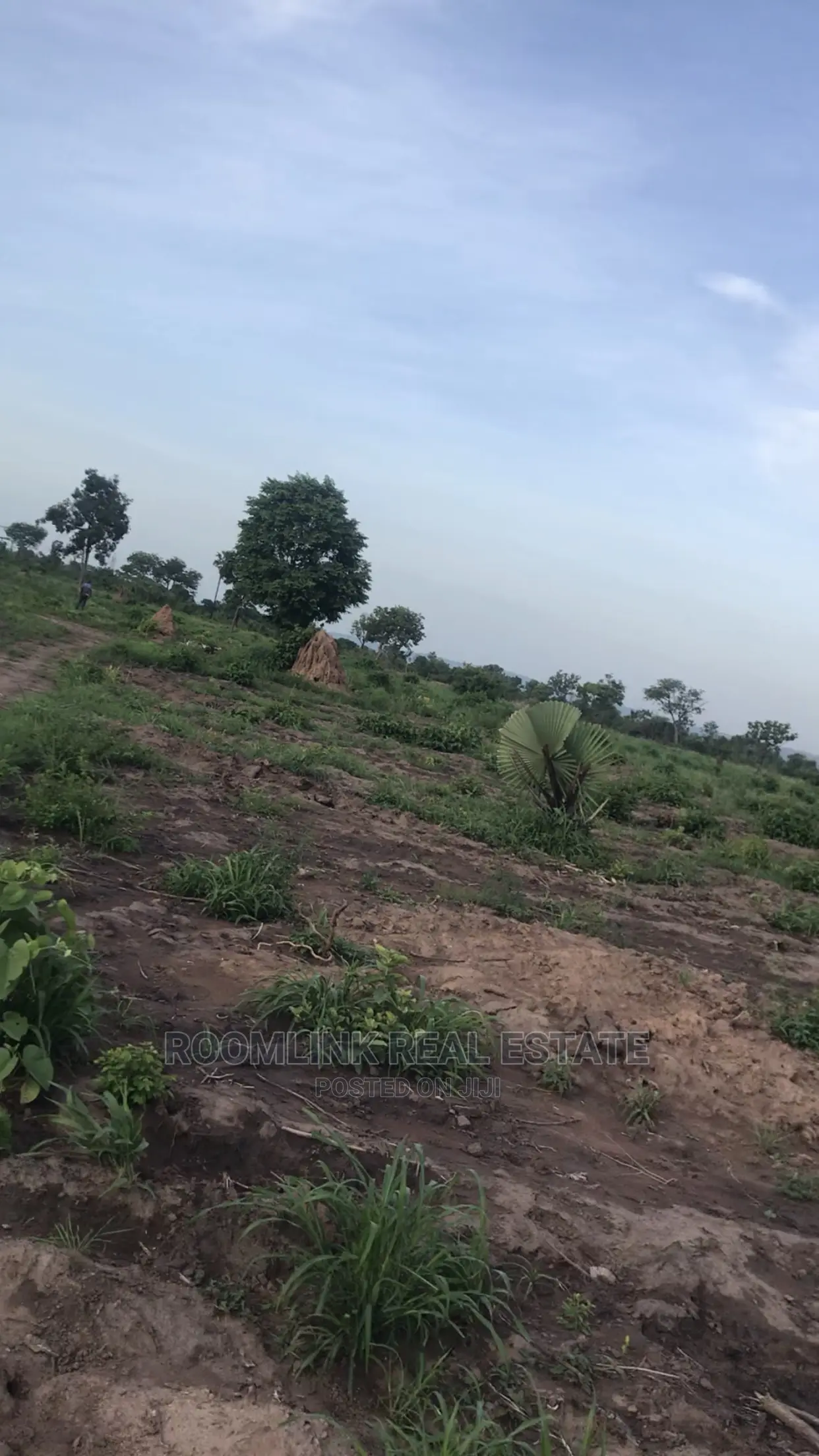 Negotiable Affordable Farmland at Kintampo 5000+ Acres