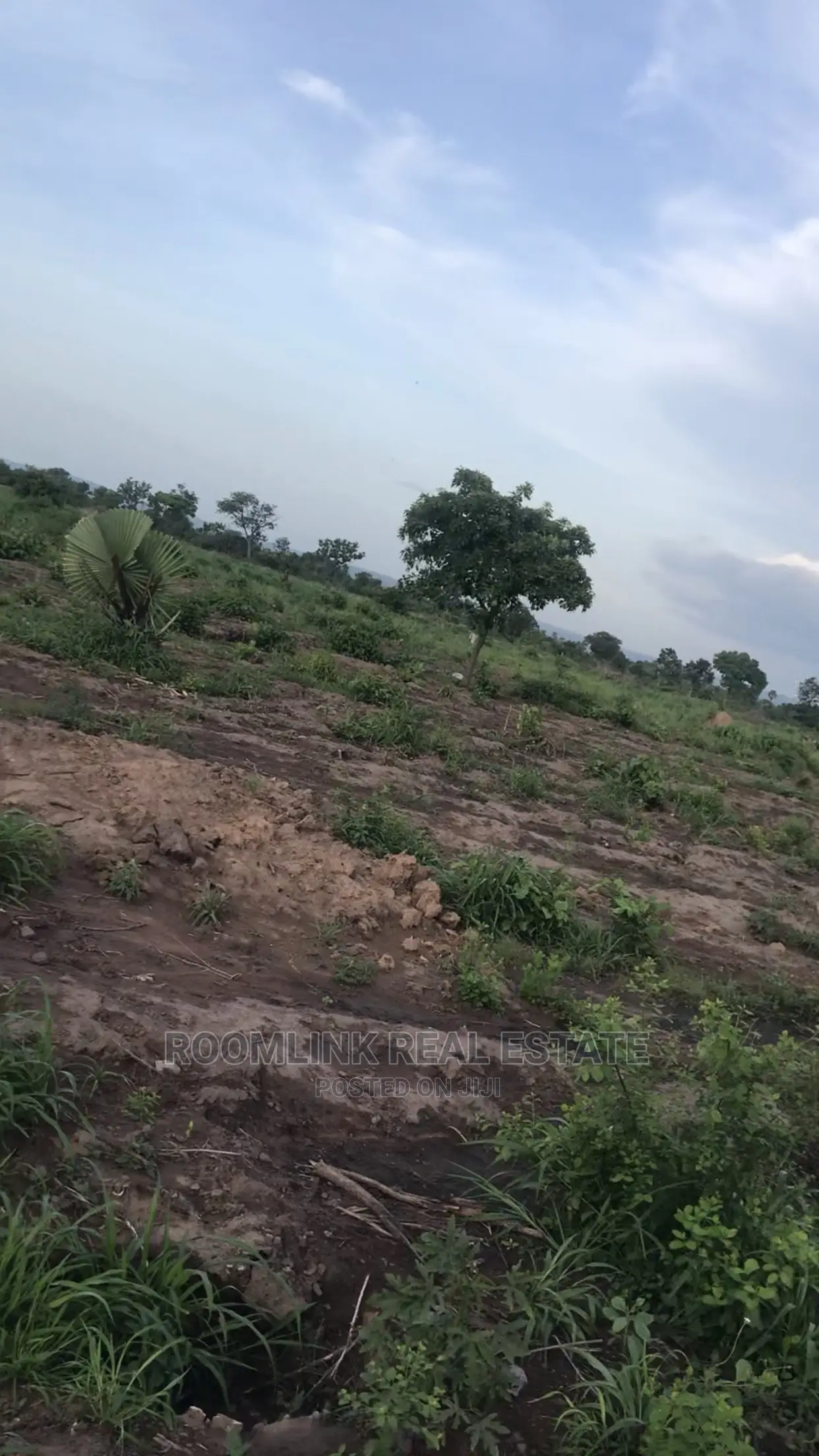 Negotiable Affordable Farmland at Kintampo 5000+ Acres