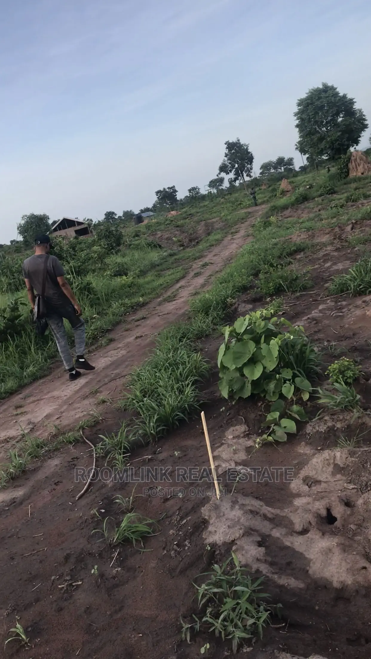 Negotiable Affordable Farmland at Kintampo 5000+ Acres