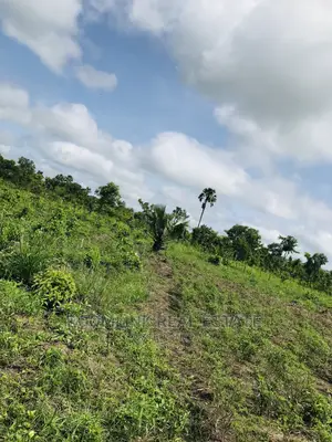 Negotiable Affordable Farmland at Kintampo 5000+ Acres