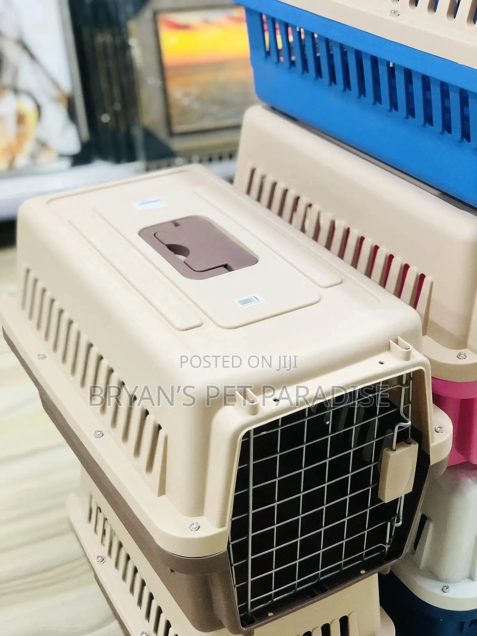 Small Size Plastic Cages
