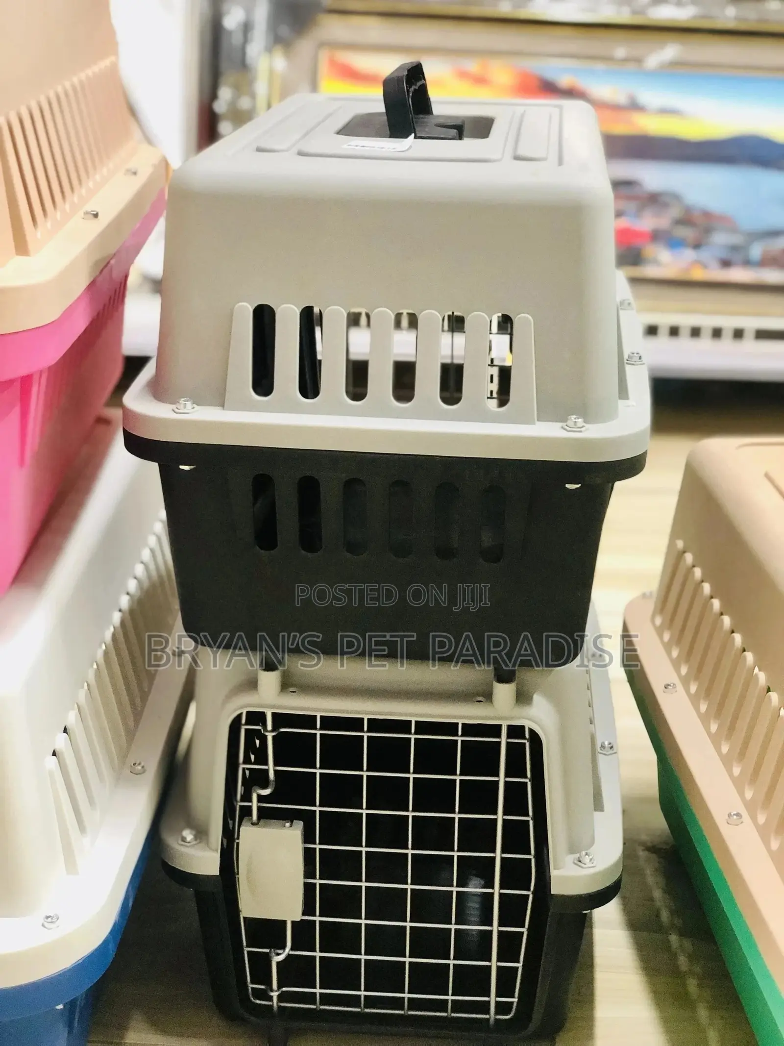 Small Size Plastic Cages