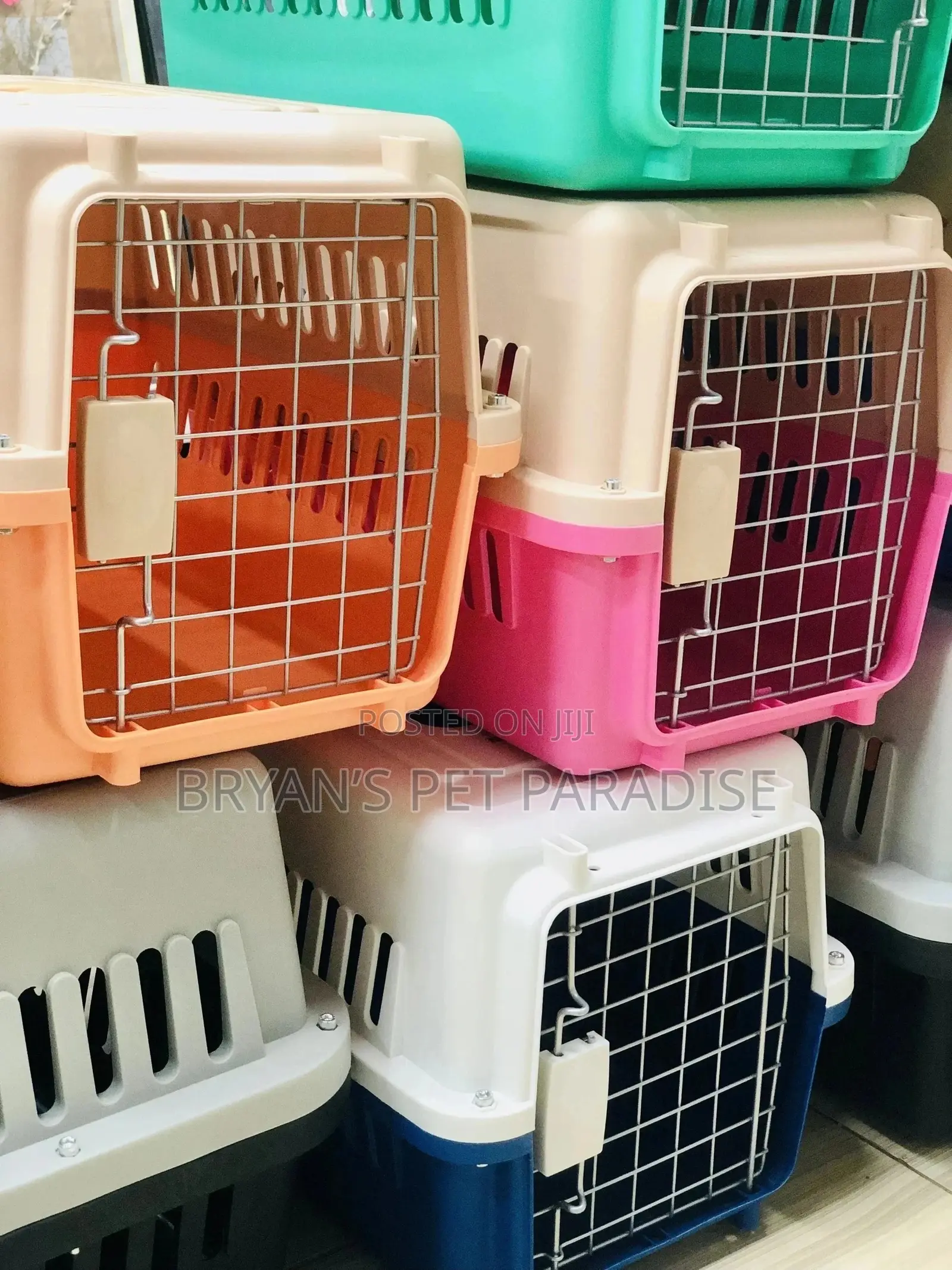 Small Size Plastic Cages