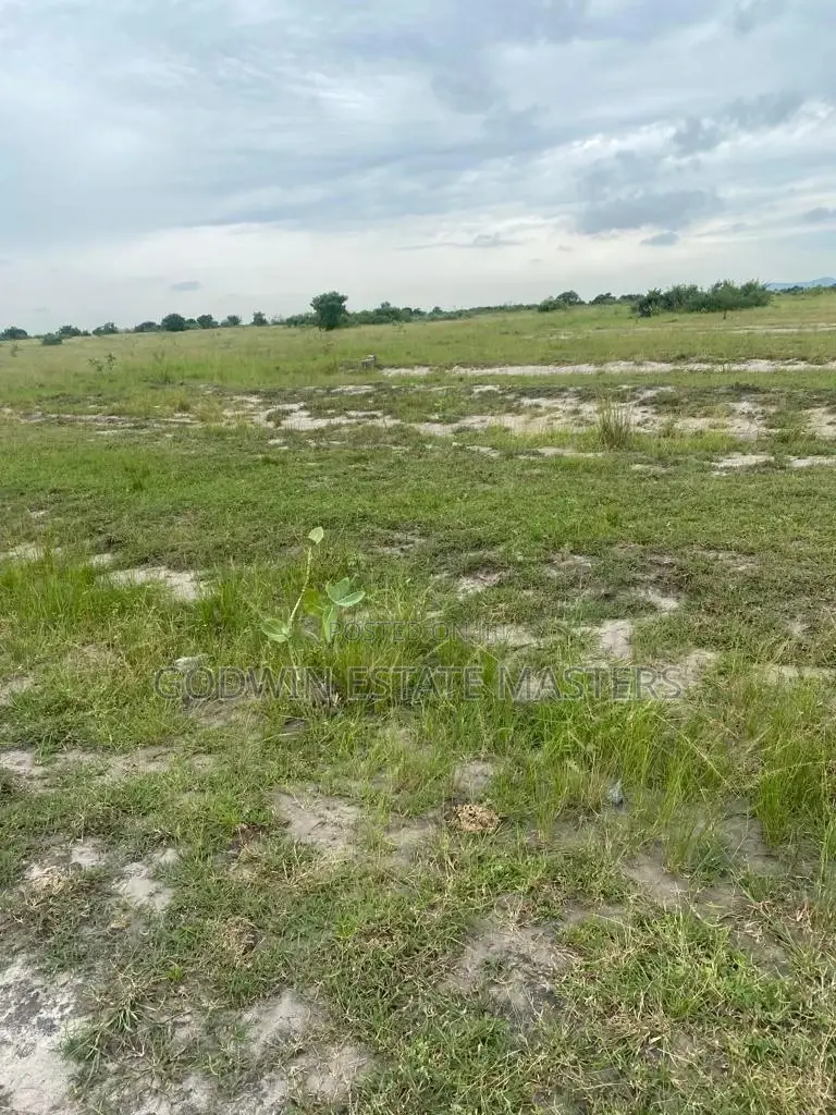 Get a Land Today for a Better Future