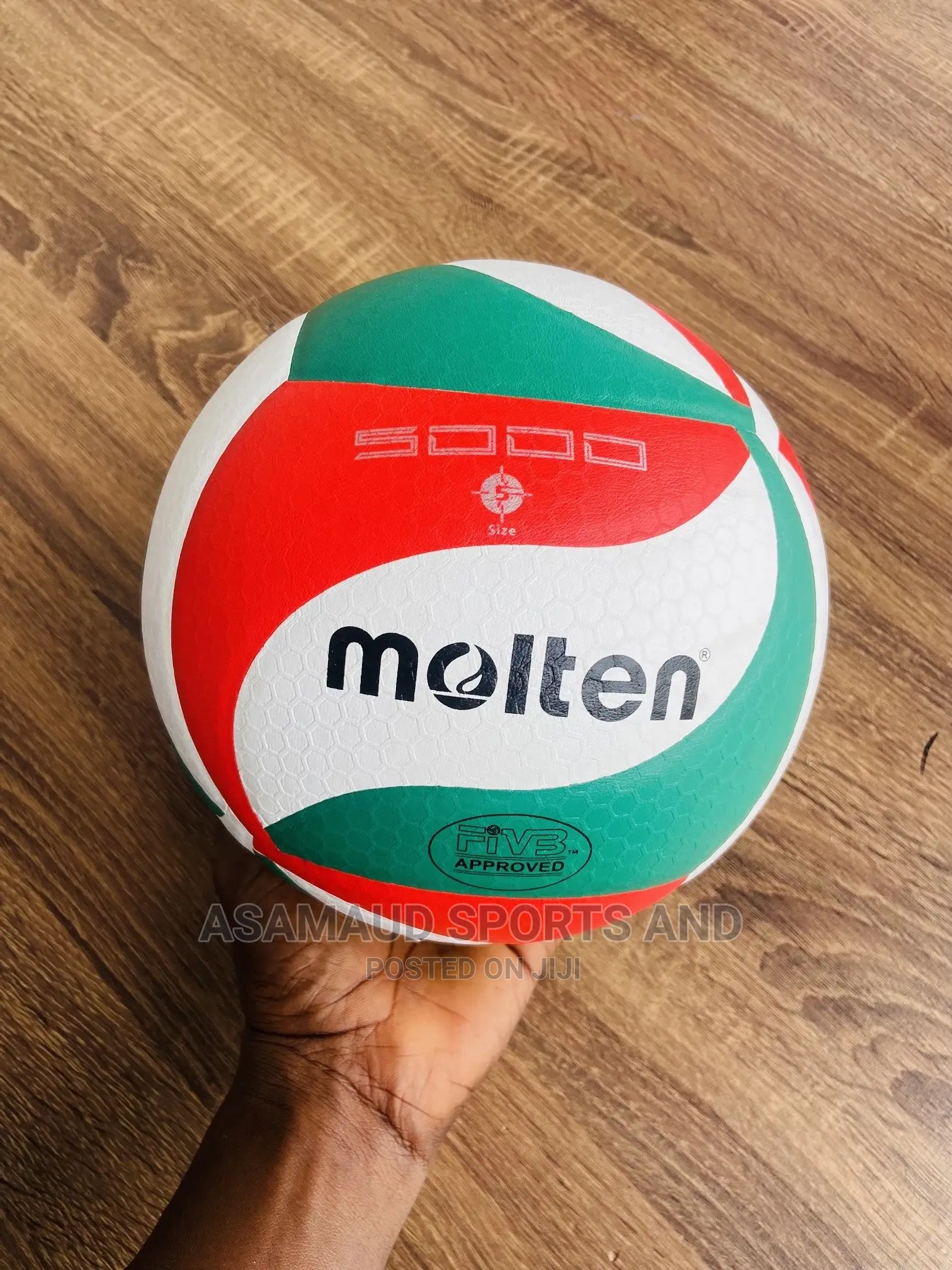 Original New Mikasa Volleyball at Cool Price