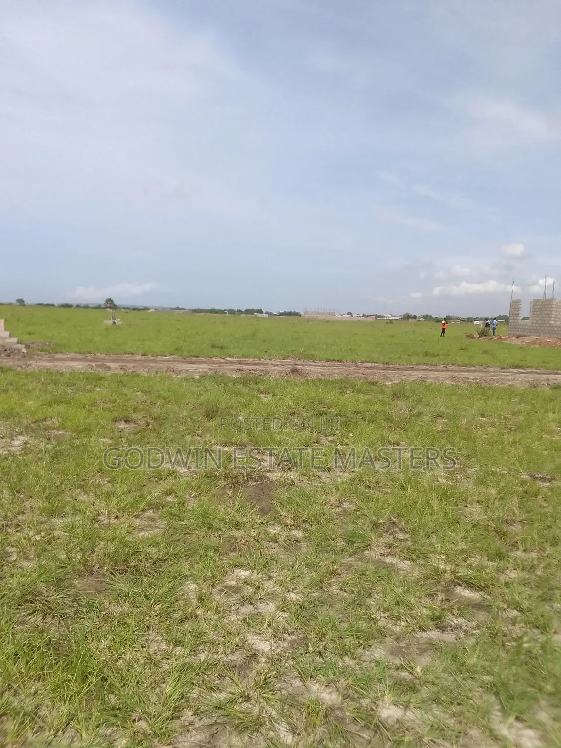Scored a Registered Service Plot
