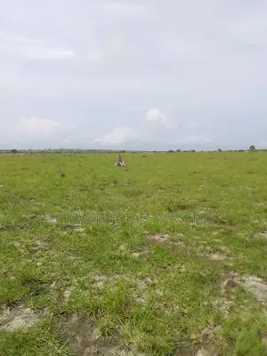 Plot for Sale Within Prampram