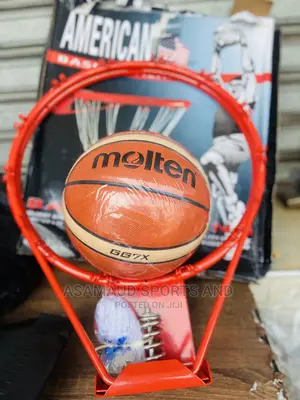 Original Double Hoop and Basketball at Cool Price