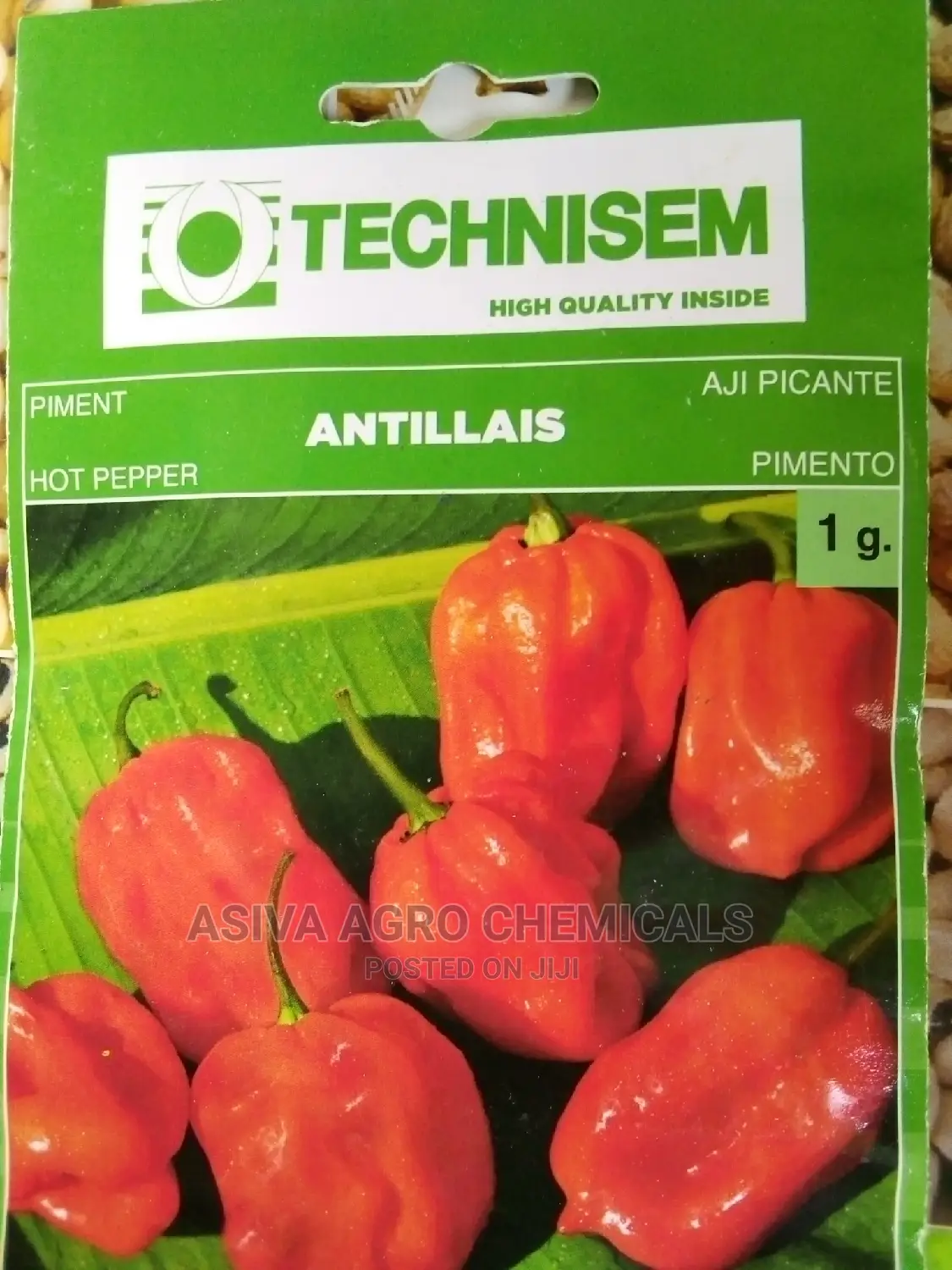 Vegetable Seeds