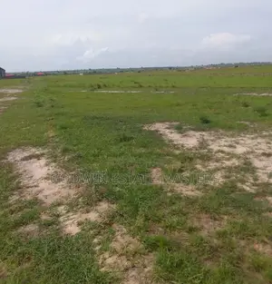 Securing a Genuine Land Is the First Step