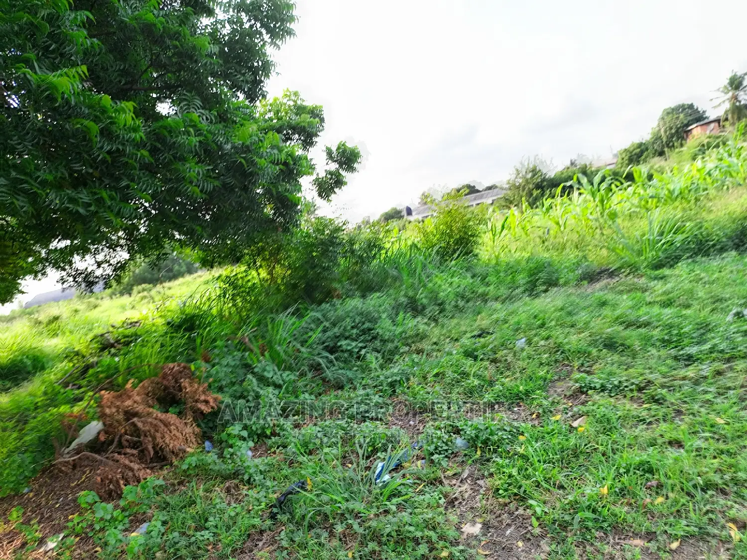 8.60acres of Land for Sale at Airport Residential Area