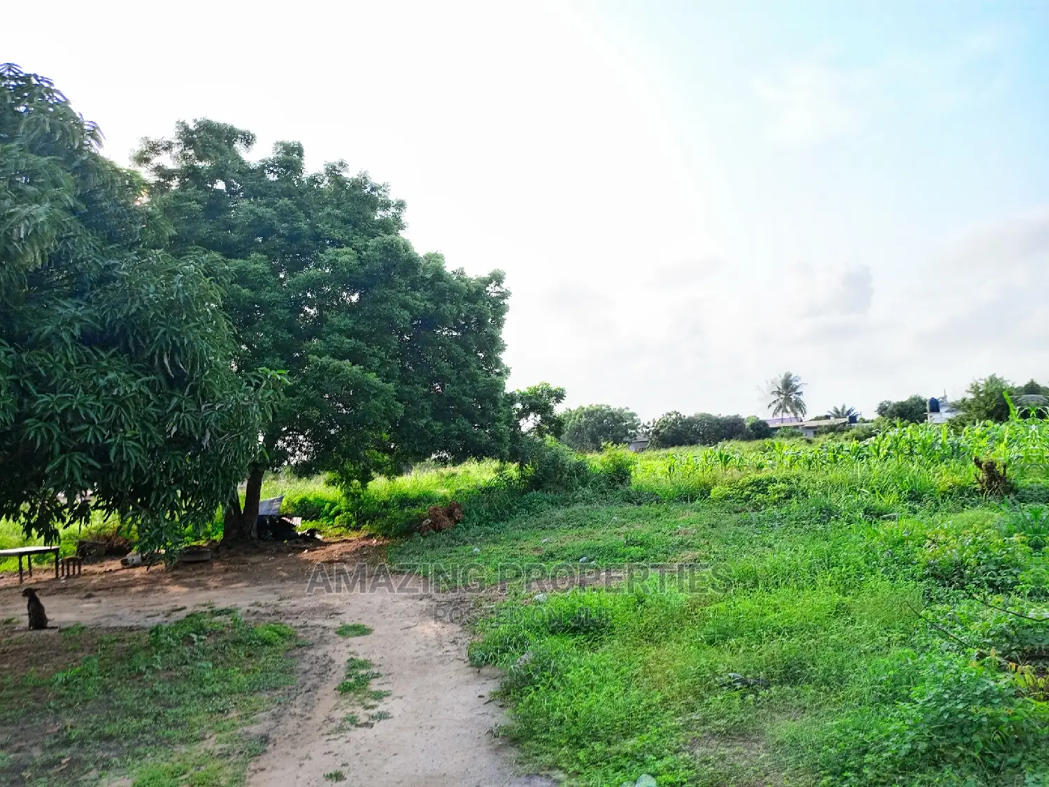 10-15acres of Land Available for Sale at Airport Energy City