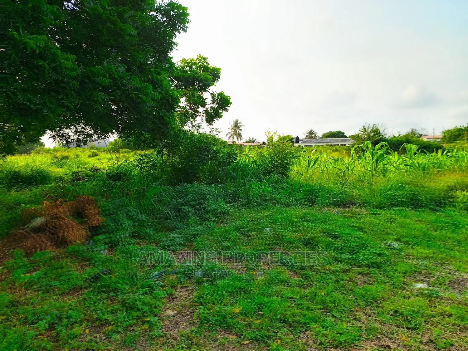 1.70acre Land Available for Sale at Cantonments
