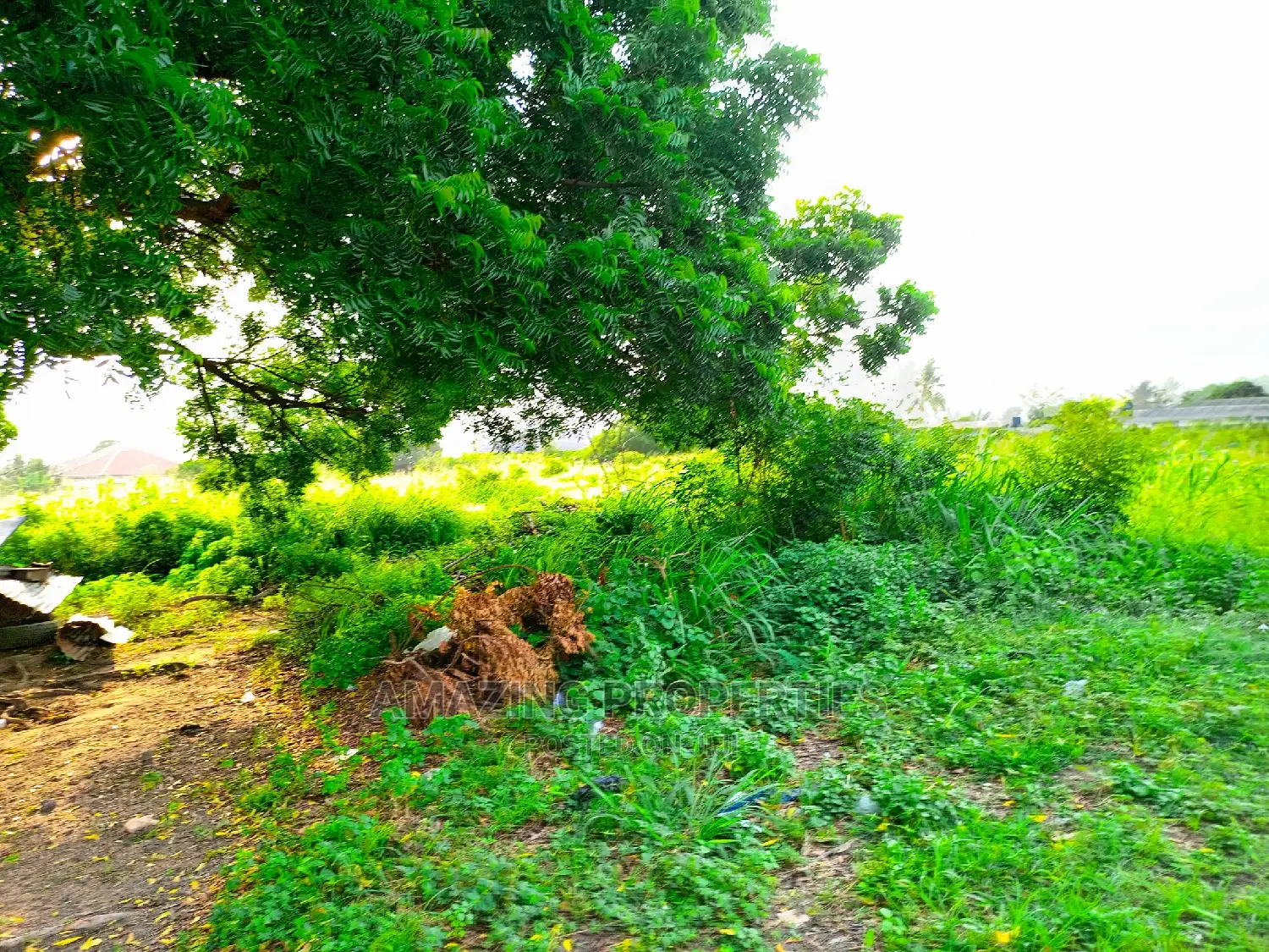 0.79acre Land Available for Sale at Cantonment