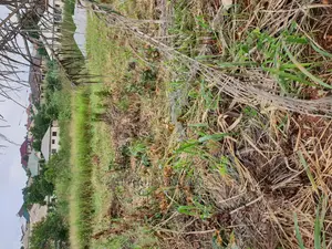 Land for Sale at Boforuyedu Adumasa