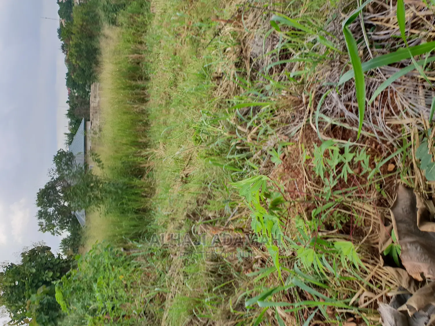 Land for Sale at Boforuyedu Adumasa