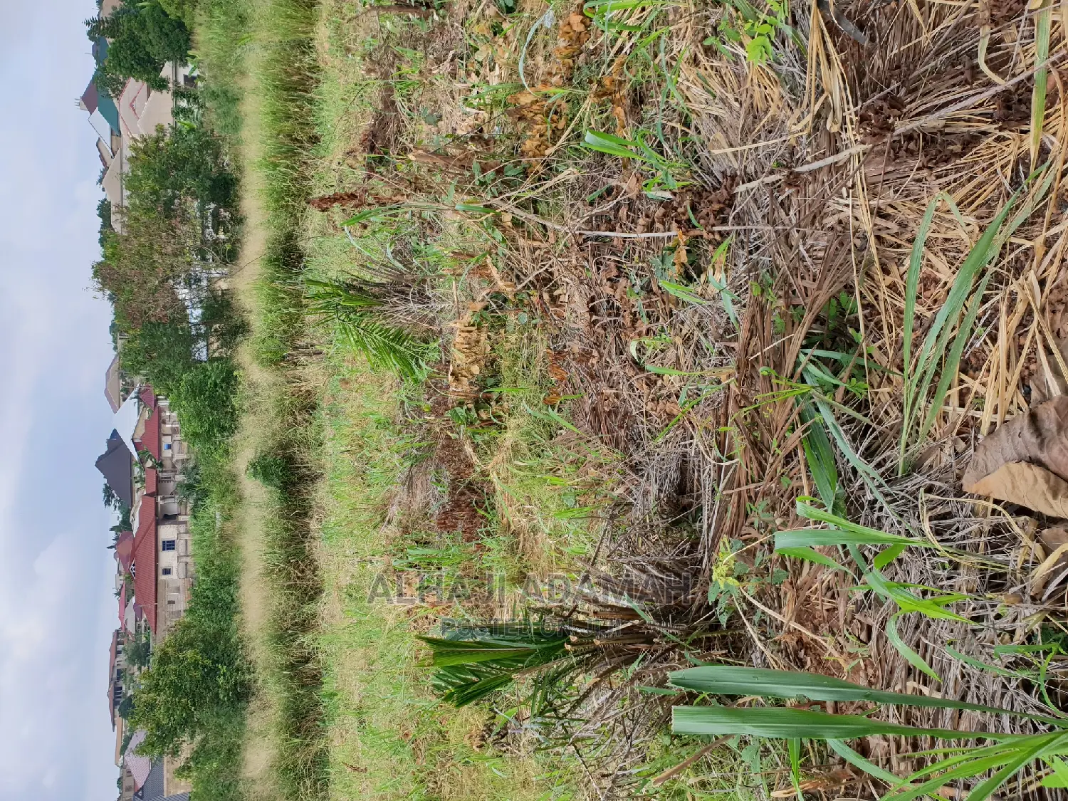 Land for Sale at Boforuyedu Adumasa