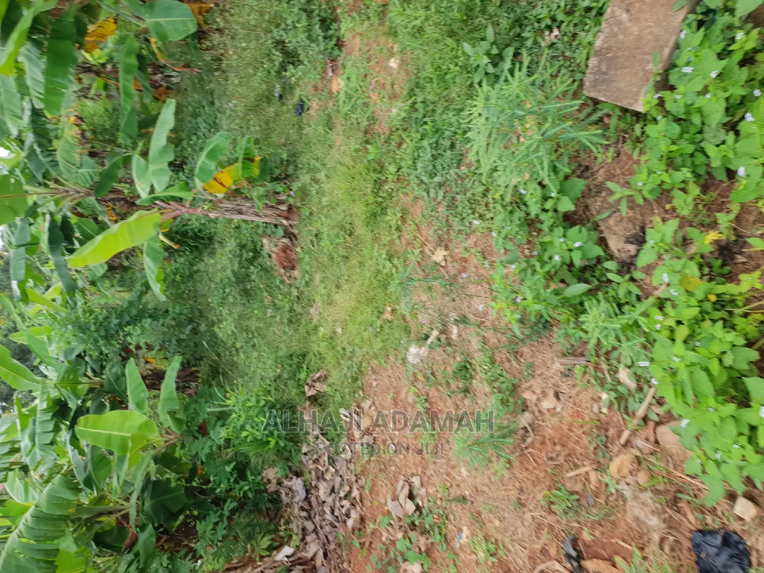 Land for Sale at Boforuyedu Adumasa