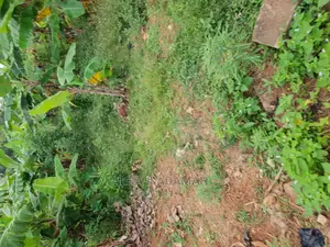 Land for Sale at Boforuyedu Adumasa