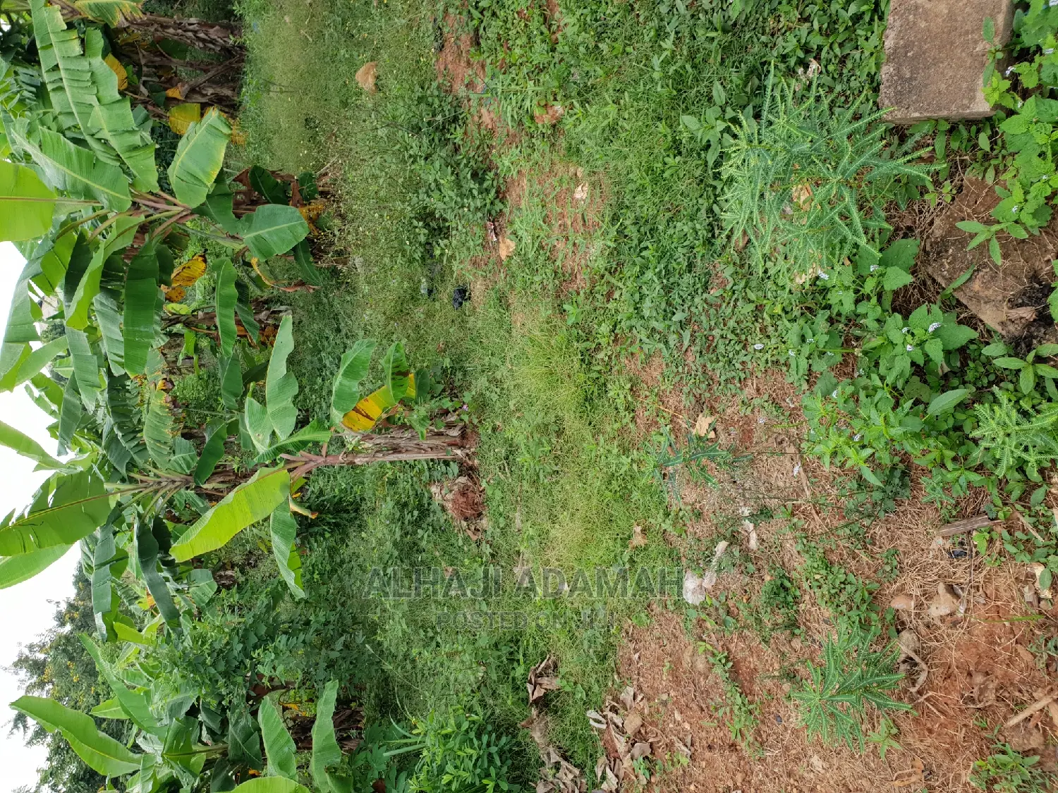 Land for Sale at Boforuyedu Adumasa