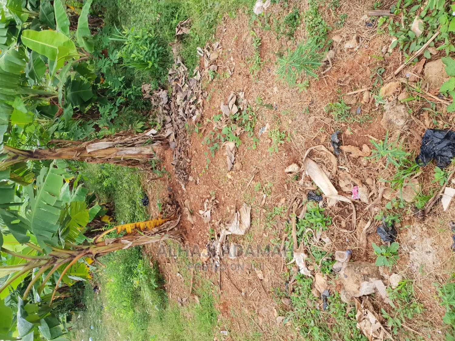 Land for Sale at Boforuyedu Adumasa