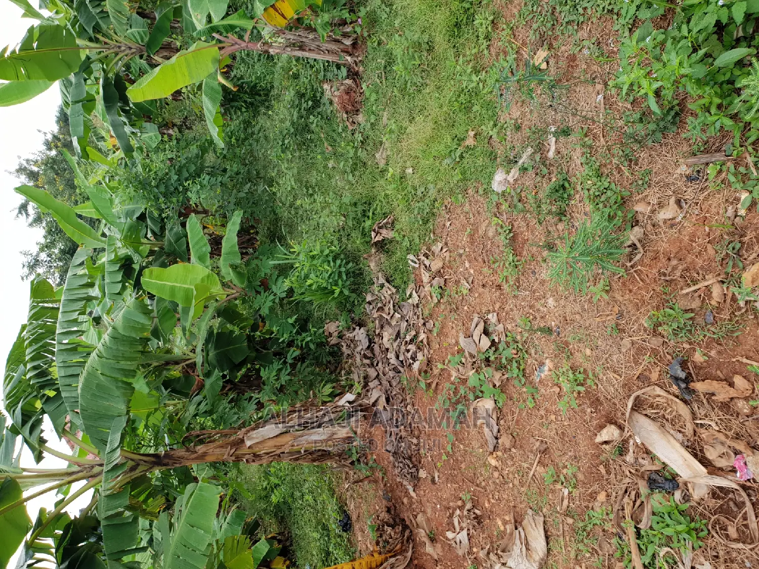 Land for Sale at Boforuyedu Adumasa