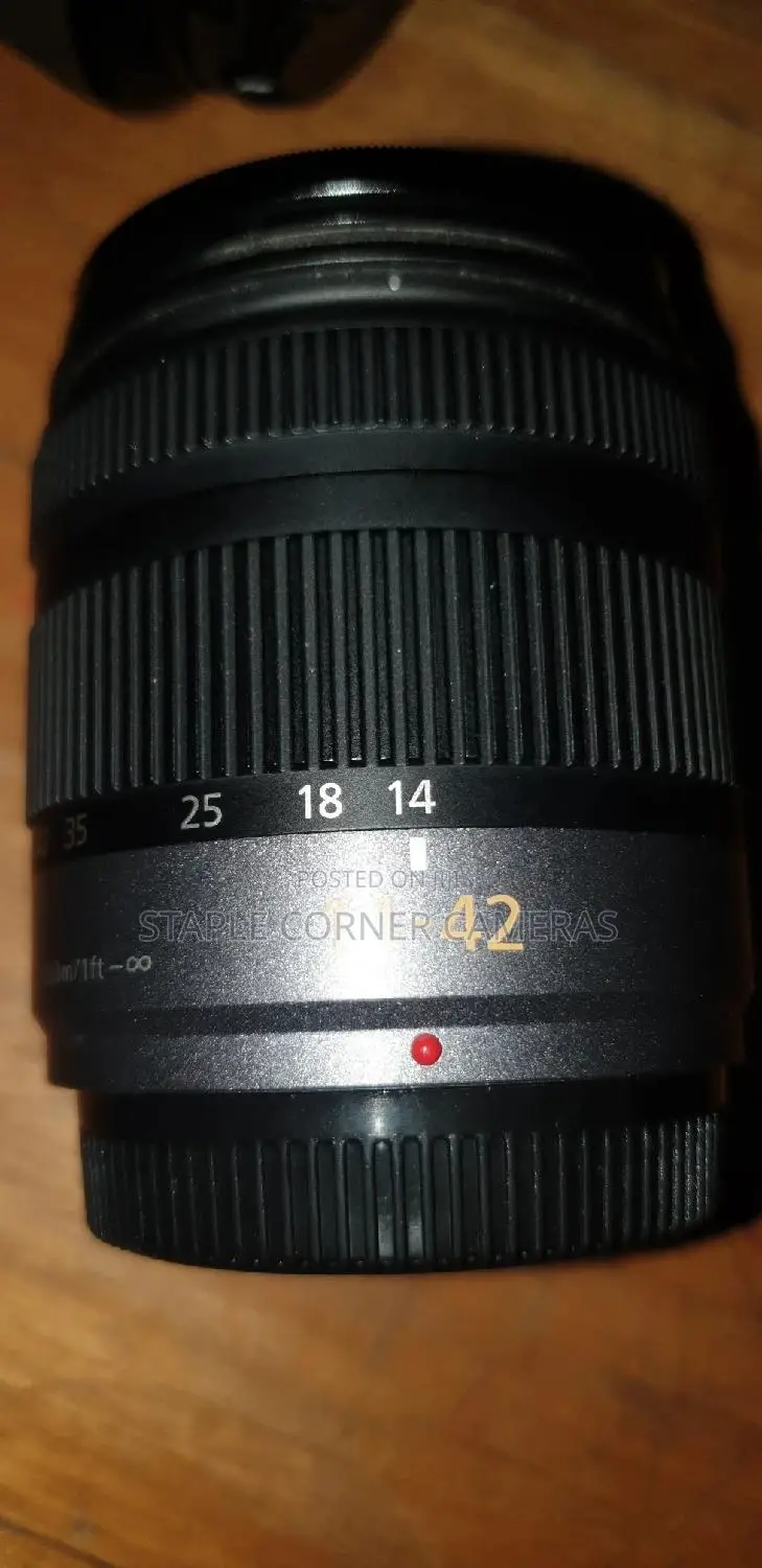 Panasonic 14-42mm Lens