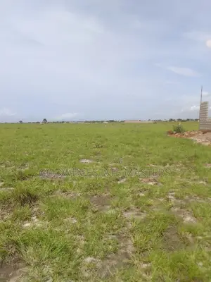 Get Your Genuine Land Today