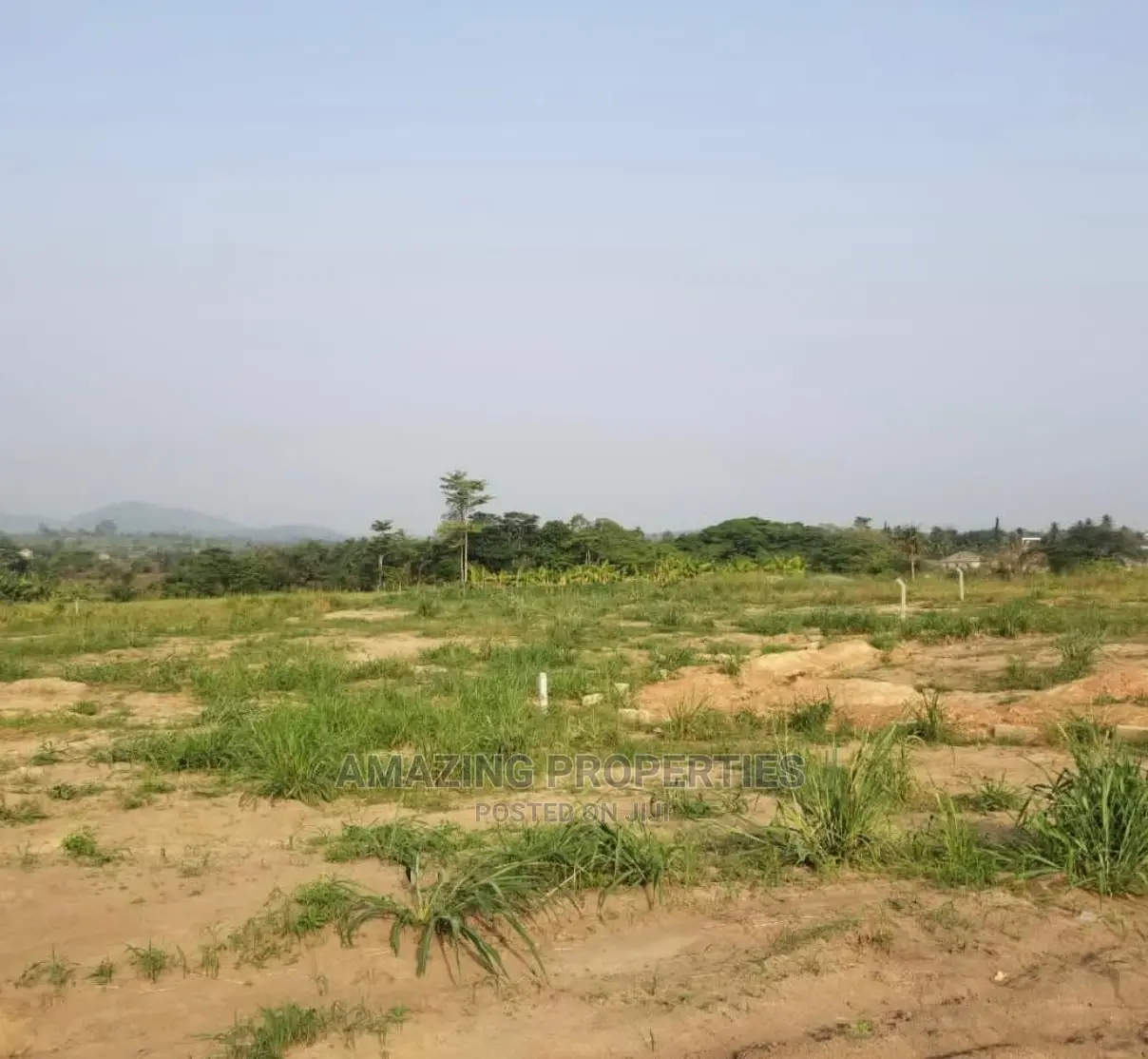 50 Acres of Land for Sale at Michel Camp