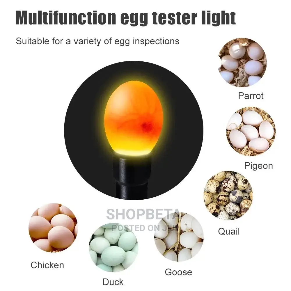 Egg Incubator -9 Eggs