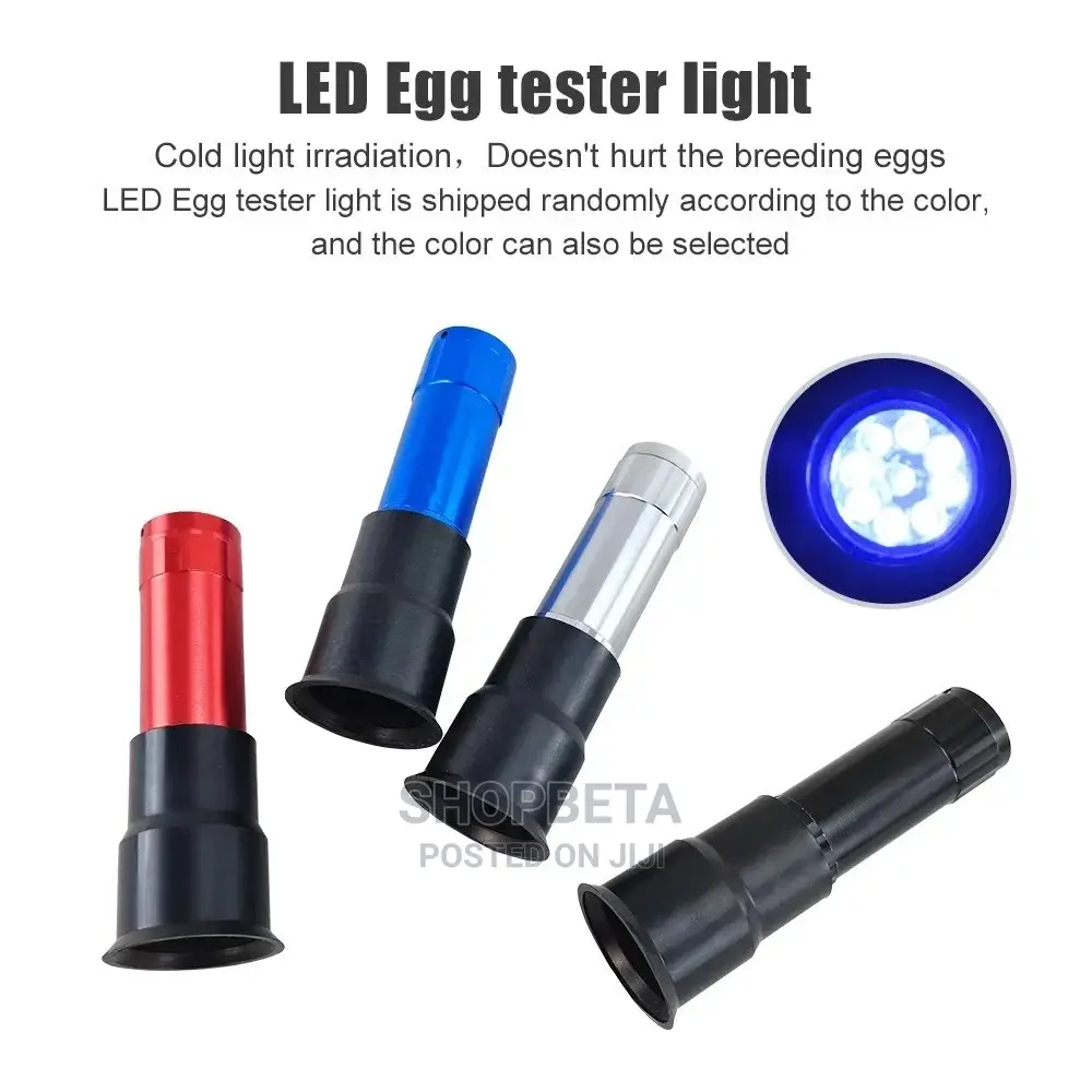 Egg Incubator -9 Eggs
