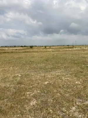 Genuine Plot Avial.Don't Time and Money on Land Litigation