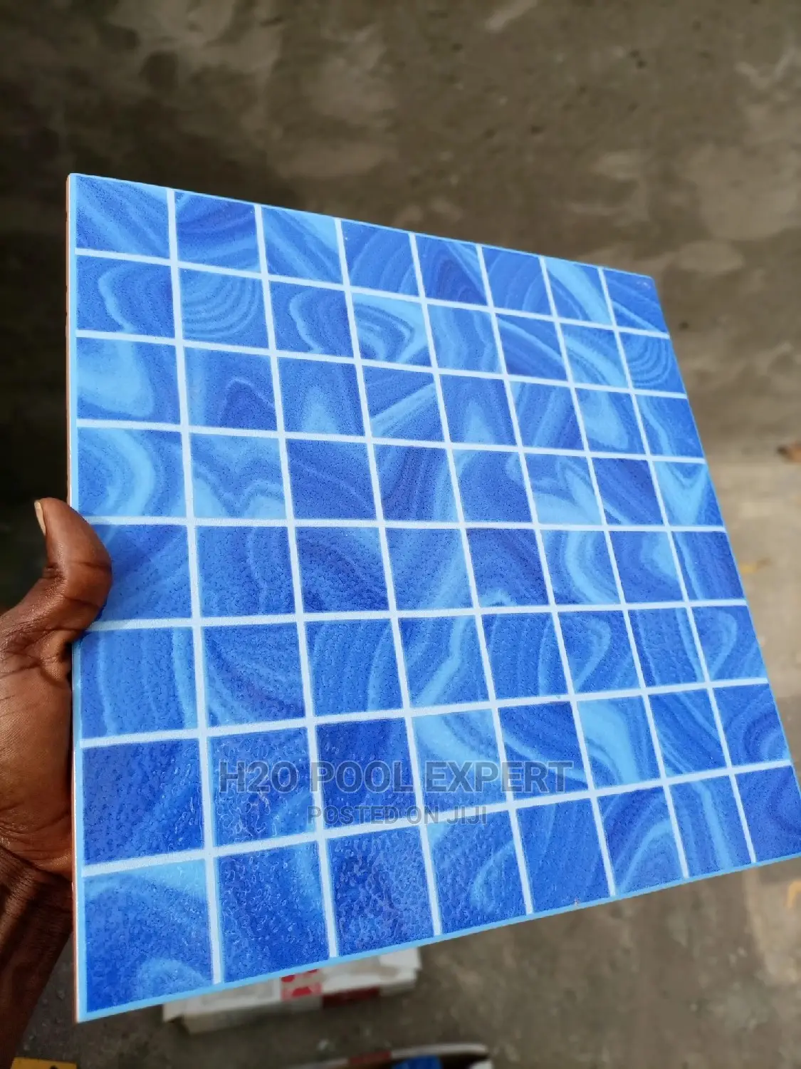 Swimming Pool Accessories