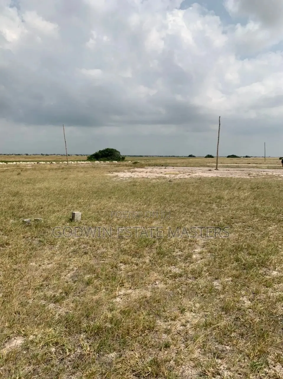 Own a Genuine Plot of Land