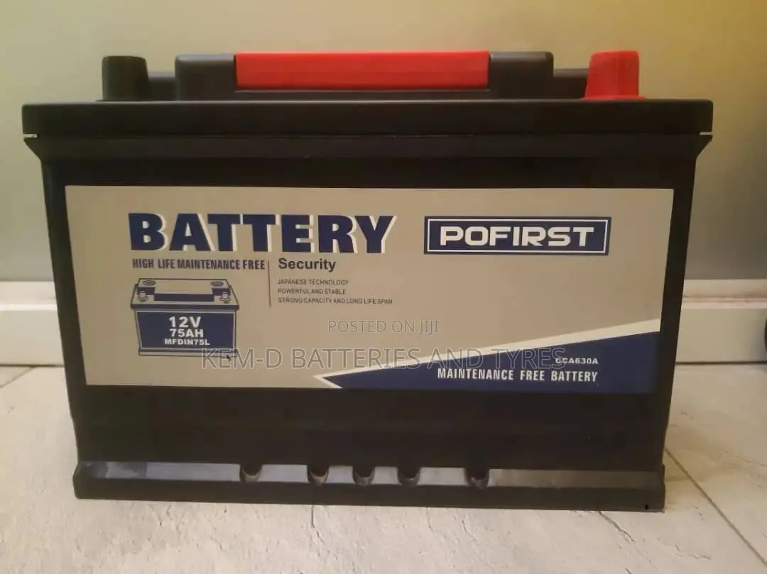 15 Plates Pofirst Battery - All Sizes Of Battery Available