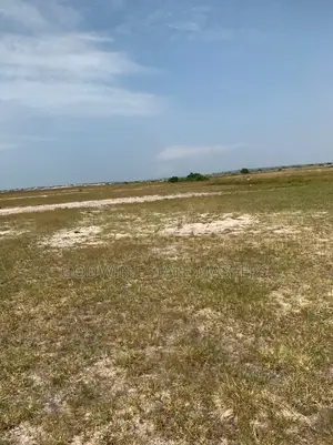 Contact Me for Your Genuine Lands
