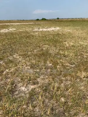 Contact Me for Your Genuine Lands