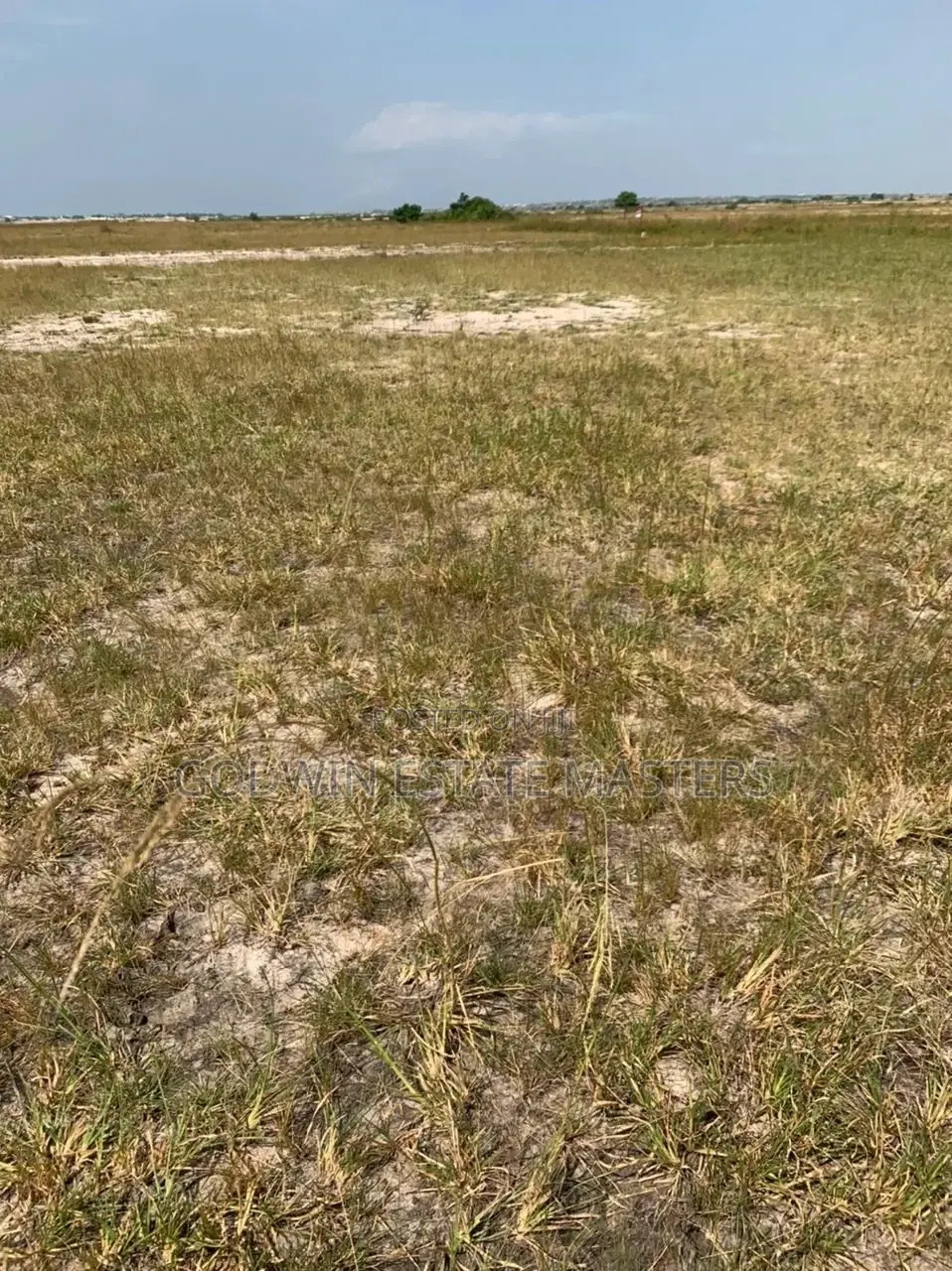 Contact Me for Your Genuine Lands