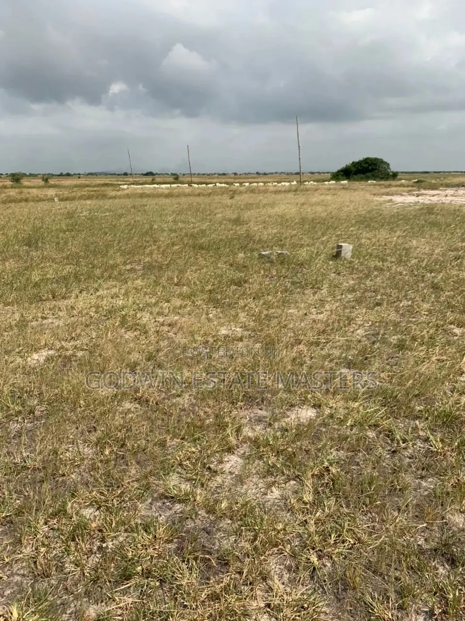 Look Here for Your Affordable Serviced Plot.