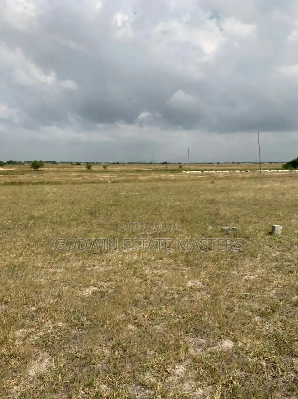 Landgurd Fee With No Litigation Landfor Sale