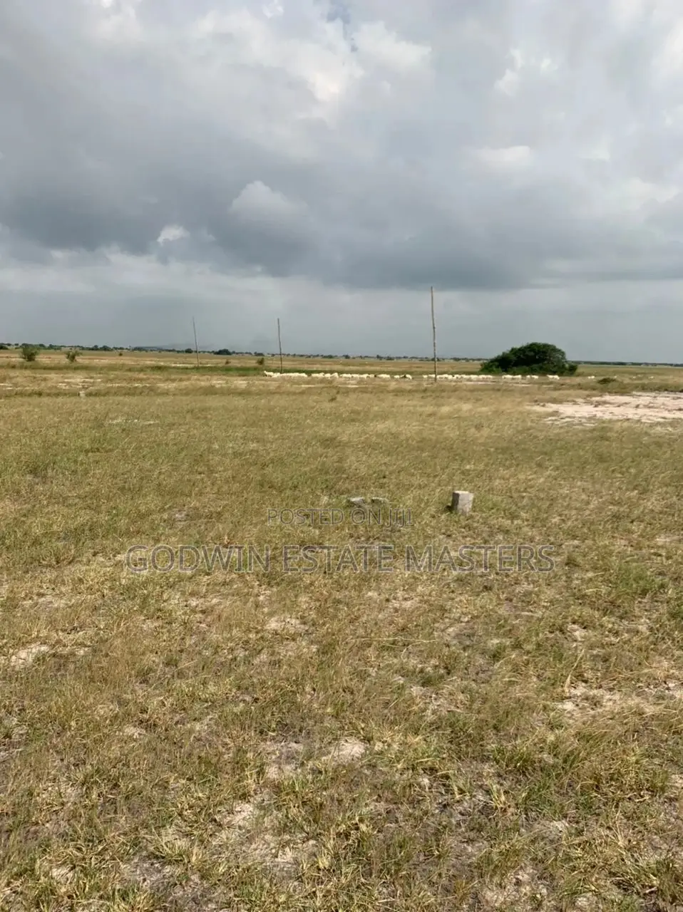 Landgurd Fee With No Litigation Landfor Sale