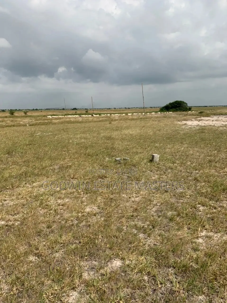 Buy Genuine Land for Comfort and Peace of Mind