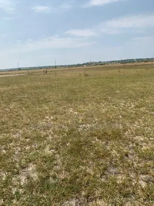 For Your Genuine Land Contact Us