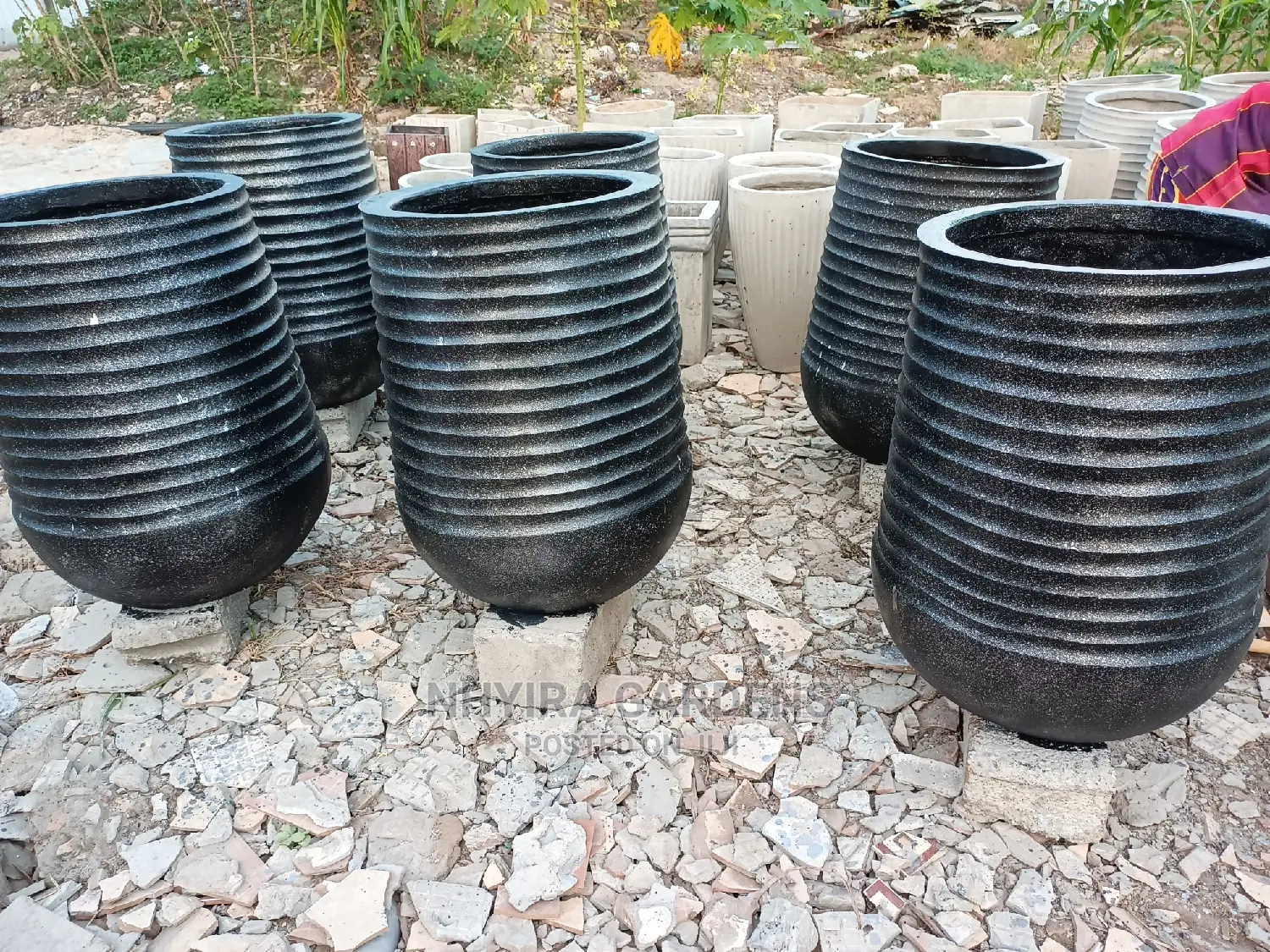 Modern Flowers Pots