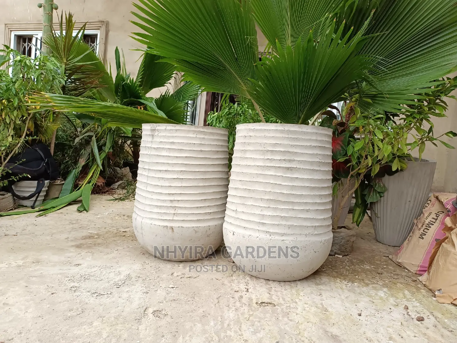 Modern Flowers Pots