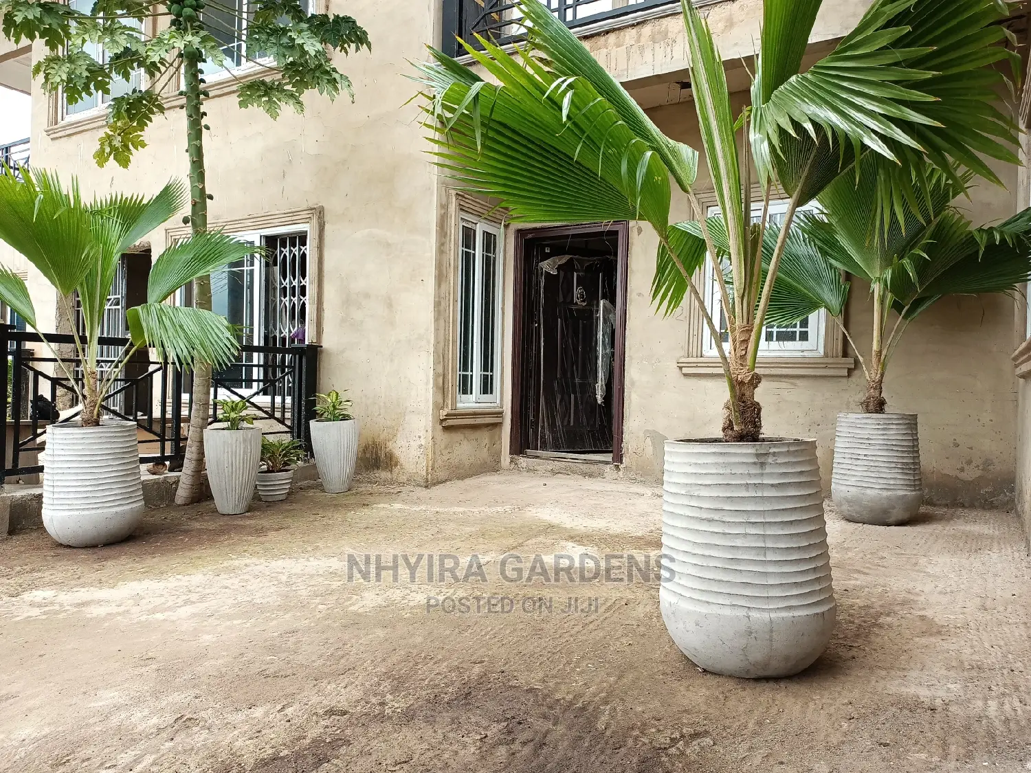 Modern Flowers Pots
